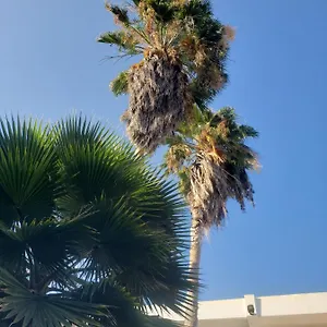 Sea Shell Palms, Alojamento de Acomodação e Pequeno-almoço